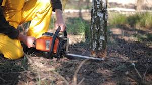 Lawn Grading and Leveling in West Glendive, MT
